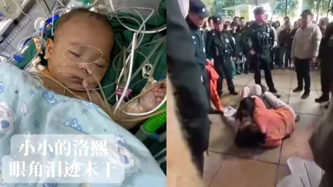 宁波早产儿小洛熙